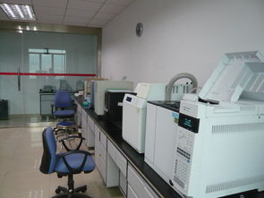 工程化技术服务的核心价值与实践路径