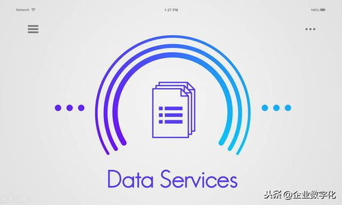 数据服务背后的产品技术技术服务